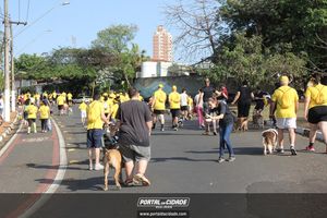 CIRCUITO ECO 