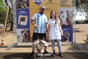 CIRCUITO ECO 