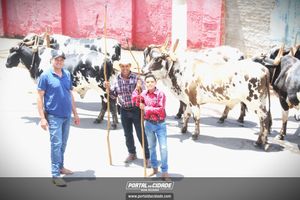 13&ordm; Desfile de Carro de Boi em Nova Resende