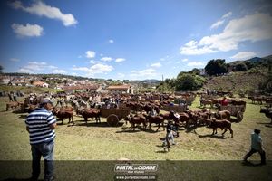 18&deg; Encontro de Carros de Boi