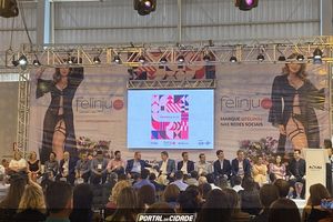 25&ordf; FELINJU