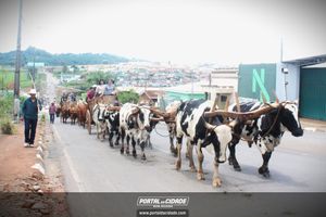 13&ordm; Desfile de Carro de Boi em Nova Resende