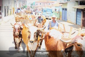 13&ordm; Desfile de Carro de Boi em Nova Resende