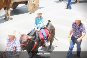 13&ordm; Desfile de Carro de Boi em Nova Resende