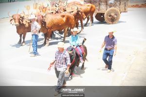13&ordm; Desfile de Carro de Boi em Nova Resende