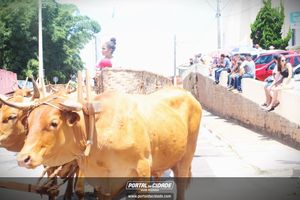 13&ordm; Desfile de Carro de Boi em Nova Resende