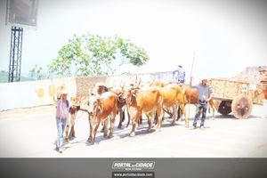 13&ordm; Desfile de Carro de Boi em Nova Resende
