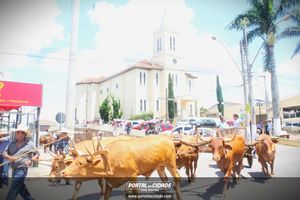 13&ordm; Desfile de Carro de Boi em Nova Resende