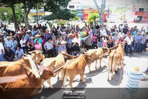 13&ordm; Desfile de Carro de Boi em Nova Resende