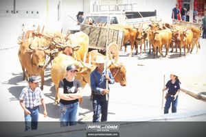 13&ordm; Desfile de Carro de Boi em Nova Resende