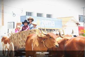 13&ordm; Desfile de Carro de Boi em Nova Resende