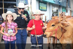 13&ordm; Desfile de Carro de Boi em Nova Resende