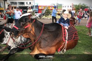 13&ordm; Desfile de Carro de Boi em Nova Resende