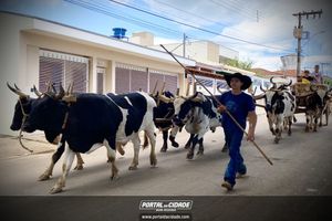 13&ordm; Desfile de Carro de Boi em Nova Resende
