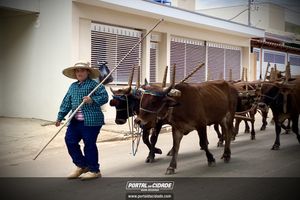 13&ordm; Desfile de Carro de Boi em Nova Resende