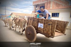 13&ordm; Desfile de Carro de Boi em Nova Resende