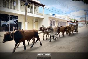 13&ordm; Desfile de Carro de Boi em Nova Resende