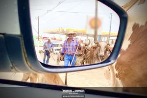 13&ordm; Desfile de Carro de Boi em Nova Resende