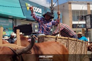 14&deg; Encontro de Carreiros em Nova Resende