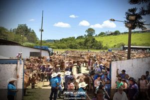 14&deg; Encontro de Carreiros em Nova Resende
