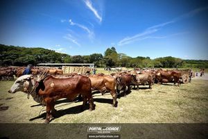14&deg; Encontro de Carreiros em Nova Resende