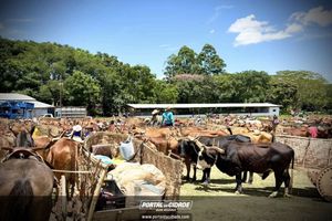 14&deg; Encontro de Carreiros em Nova Resende