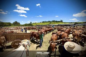 14&deg; Encontro de Carreiros em Nova Resende