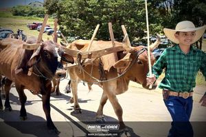 14&deg; Encontro de Carreiros em Nova Resende