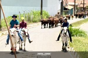 14&deg; Encontro de Carreiros em Nova Resende