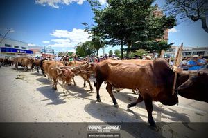 14&deg; Encontro de Carreiros em Nova Resende