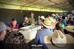 14&deg; Encontro de Carreiros em Nova Resende