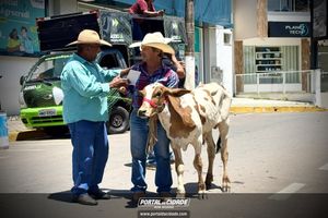 14&deg; Encontro de Carreiros em Nova Resende
