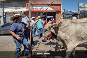 14&deg; Encontro de Carreiros em Nova Resende