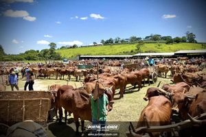 14&deg; Encontro de Carreiros em Nova Resende