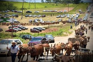 14&deg; Encontro de Carreiros em Nova Resende