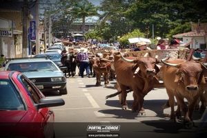 14&deg; Encontro de Carreiros em Nova Resende