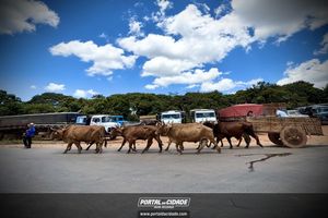 14&deg; Encontro de Carreiros em Nova Resende