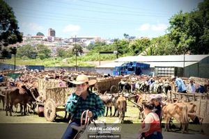 14&deg; Encontro de Carreiros em Nova Resende