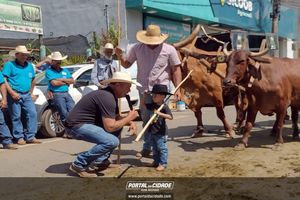 14&deg; Encontro de Carreiros em Nova Resende