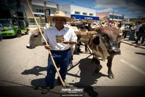 14&deg; Encontro de Carreiros em Nova Resende