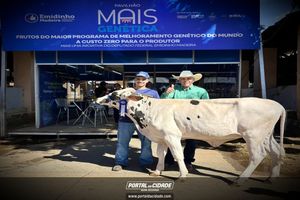MEGA LEITE 2025