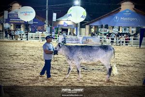 MEGA LEITE 2025