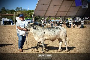 MEGA LEITE 2025