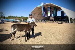MEGA LEITE 2025
