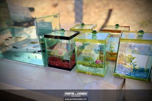 1&ordf; Feira Agropecu&aacute;ria, Comercial e Industrial de Pet&uacute;nia - FACIP