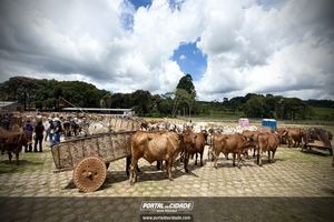 15&deg; Encontro de Carreiros