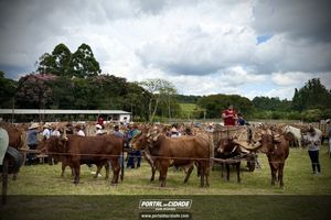 15&deg; Encontro de Carreiros