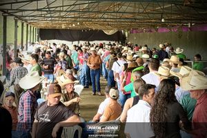 15&deg; Encontro de Carreiros
