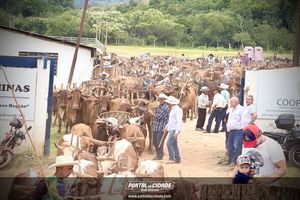 15&deg; Encontro de Carreiros