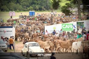 15&deg; Encontro de Carreiros